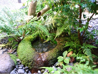 DSC_0292.JPG