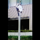 ナース時計塔（クリックで拡大）