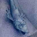 チボリ公園（クリックで拡大）