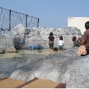 水族館擬岩(クリックで拡大）