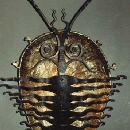 kurukuru-raito.jpg