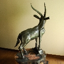 gazeru (4).JPG